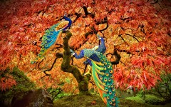 Fotobehang prachtig gekleurde bomen en pauwen_AS329248454